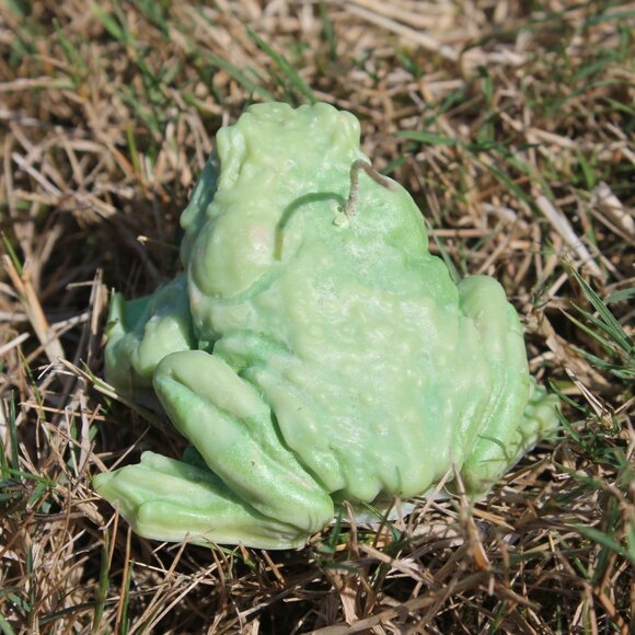 Green Frog Candle - Picture 12 of 14